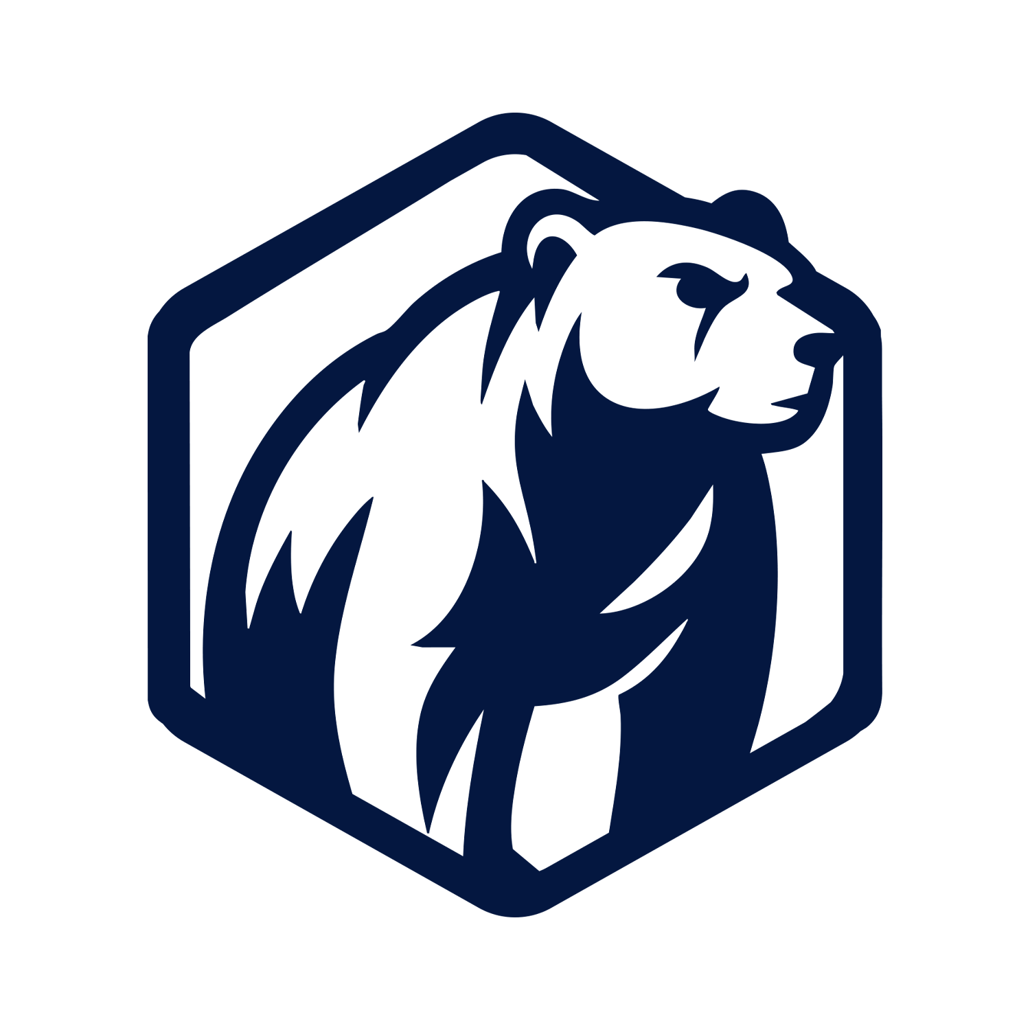 Hibearna Tech